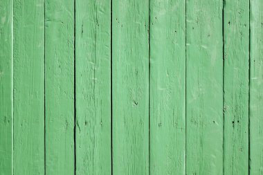 geniş Kuru Kurulları üzerinden yeşil ahşap doku.