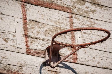 Turuncu Basketbol Hoop Beyaz Backboard On