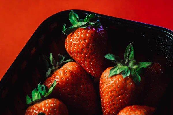 Frische saftige Erdbeeren mit Blättern in einem schwarzen Korb. Erdbeere auf rotem Hintergrund — Stockfoto