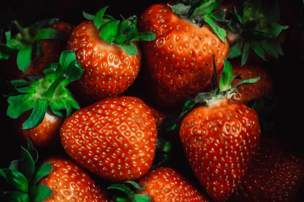 Fresas frescas y jugosas con hojas en una canasta negra. Fresa sobre fondo rojo — Foto de Stock