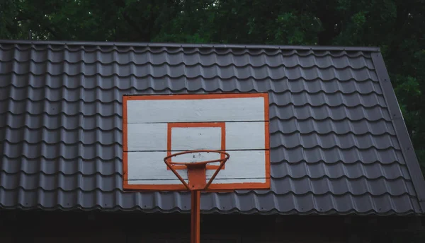 Rode basketbal hoepel in het bos. — Stockfoto