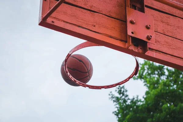 Piros kosárlabda karika az erdőben. — Stock Fotó