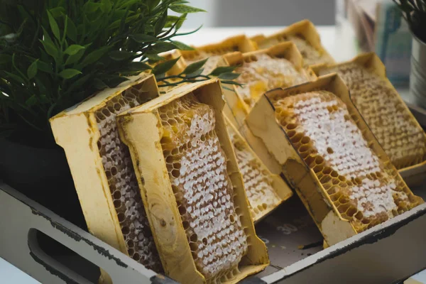 Um prato de favos de mel vendido na feira — Fotografia de Stock