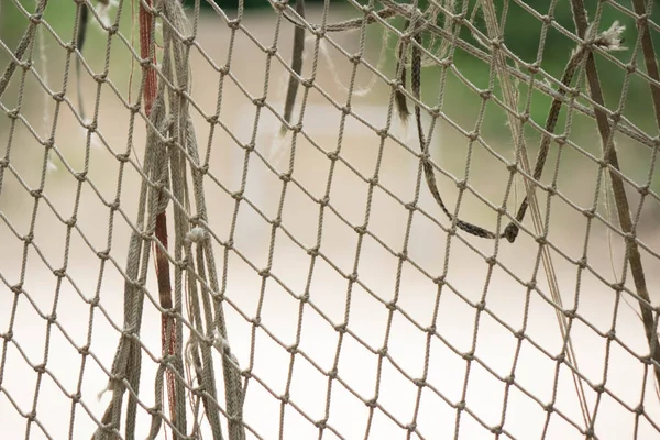 Patio puertas de fútbol en el campo entre los árboles . — Foto de Stock