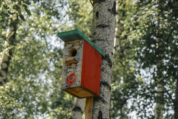 Casa de pássaros pintada de cor vermelha. Caixa de nidificação na árvore . — Fotografia de Stock