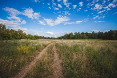 güzel mavi gökyüzü ile bir alanda bir araba izleri