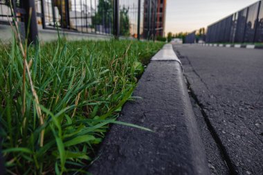 gri beton kenarlıklı bir yeşil çimen.