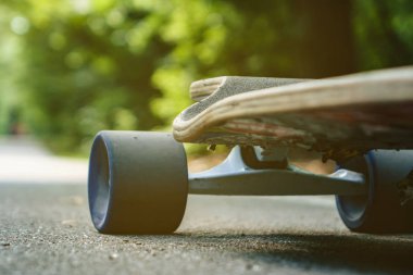 orman closeup asfalt üzerinde duran longboard
