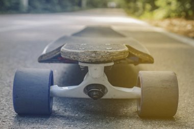 orman closeup asfalt üzerinde duran longboard