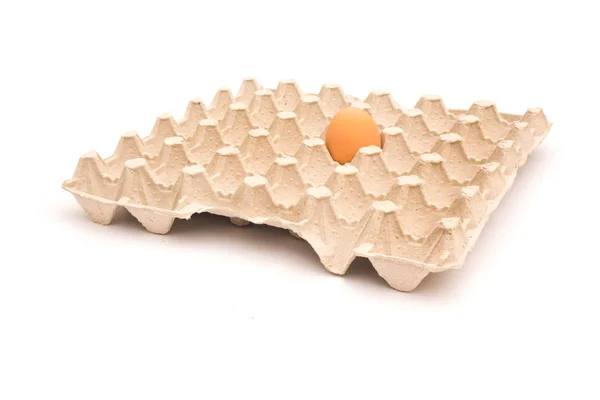 Одне яйце лежить на яєчній коробці ізольоване на білому тлі . — стокове фото
