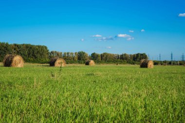 yeşil alan ve mavi gökyüzü arasında yalan samanlık