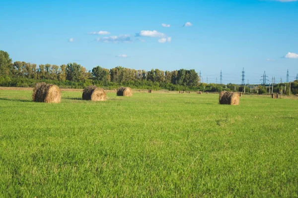 Szénakazalban fekvő között a zöld mező és a kék ég — Stock Fotó