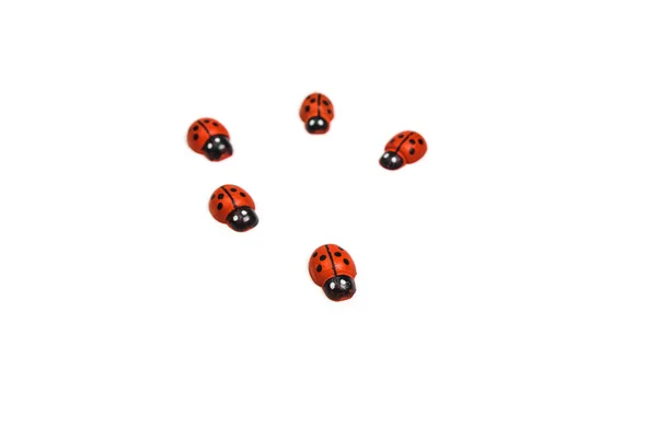 Toy ladybug red on a white background — Stock Photo, Image