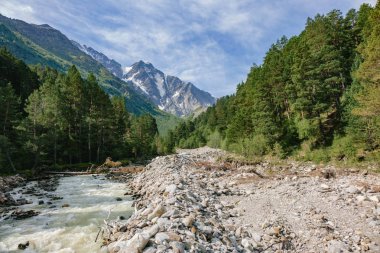 büyük dağlarda ormanda yollar arasında görmek ve bankın yanında duruyor. Manzara