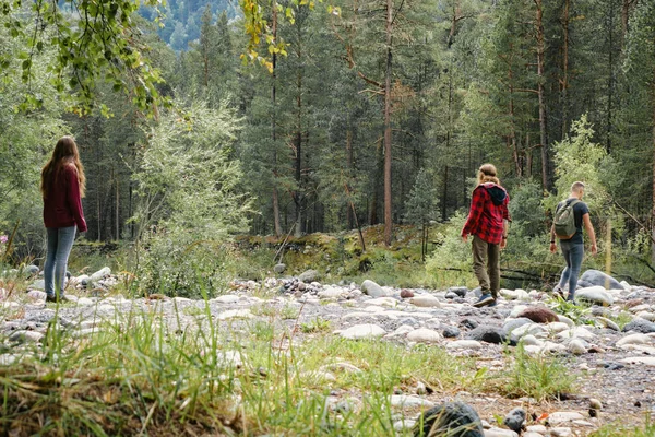 3 touristes ont trouvé une clairière dans la forêt — Photo