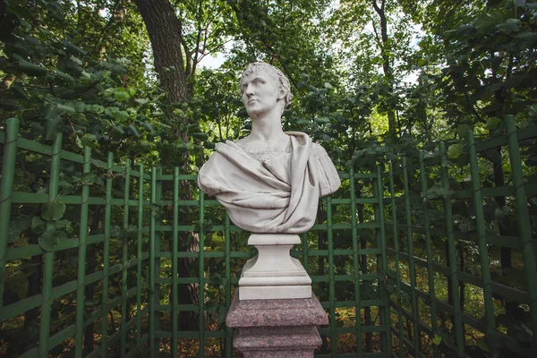 St Petersburg, Rusya - 6 Haziran 2019. Roma İmparatoru Titus Heykeli.