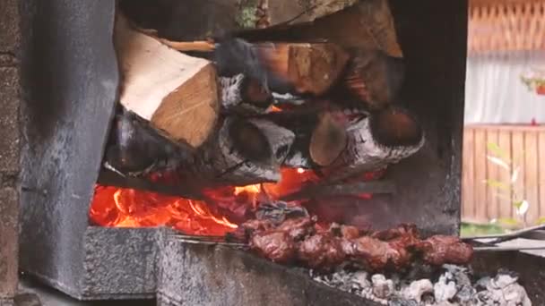 Oud hout brandend in de brandende houtgrill — Stockvideo