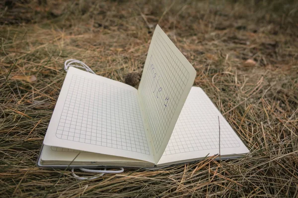 Open boek, aangewakkerd pagina's op gras. Zomer Lente achtergrond met open boek. gras notebook FIR kegels — Stockfoto