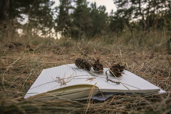 Open boek, aangewakkerd pagina's op gras. Zomer Lente achtergrond met open boek. gras notebook FIR kegels — Stockfoto