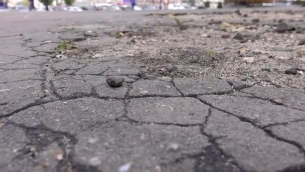 Oude asfalt weg met kuilen en putten — Stockvideo