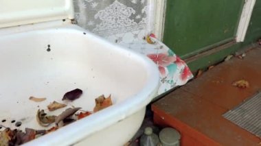 Ormanda yapraklarla dolu eski beyaz bir lavabo.