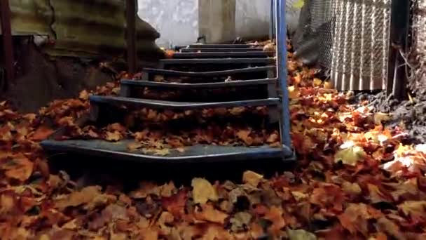 Den släta uppstigningen av kameran uppför trappan duschade med löv en höstdag — Stockvideo