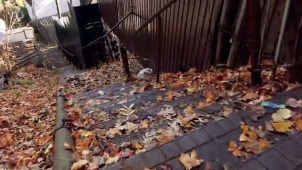 La cámara desciende lentamente los umbrales metálicos del pequeño camino — Vídeo de stock