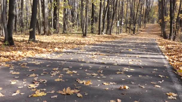 Mężczyzna wspina się po longboard pod górę na asfalcie pokrytym liśćmi. — Wideo stockowe