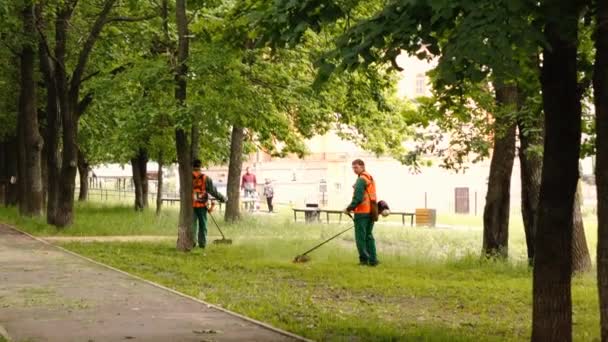 Moscú Rusia mayo 20, 2020. trabajadores cortan césped en la ciudad Parque — Vídeo de stock