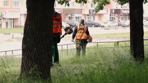 Moskva Ryssland 20 maj 2020. arbetare klippa gräsmattor i stadsparken — Stockvideo