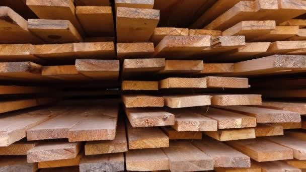 Une énorme pile de planches empilées dans une scierie — Video