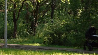 Bir çift ormanda bir bebek arabasıyla yürür. Rusya 20 Mayıs 2020