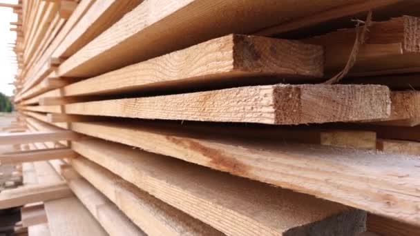 Stocken av virke vid sågverket. begreppet träförädlingsindustri, — Stockvideo
