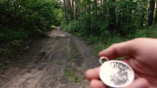 En man håller en kompass i handen medan han är i skogen — Stockvideo