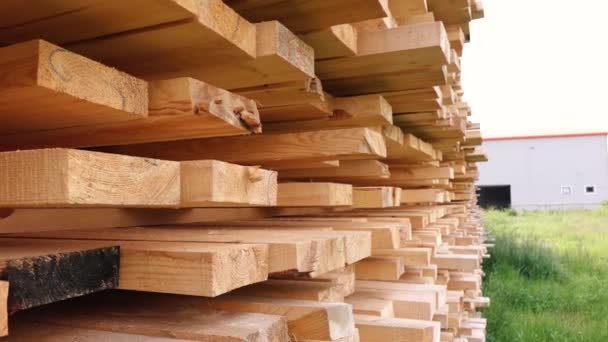 Almacén de madera con un montón de tablas — Vídeo de stock