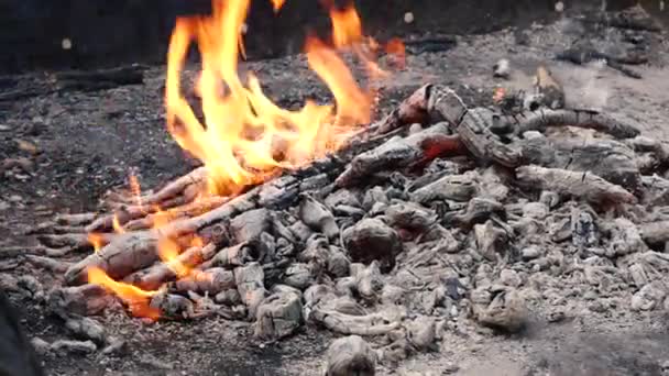 Un mucchio di carboni ardenti alla griglia — Video Stock