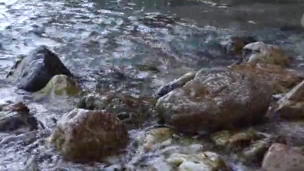 Una ragazza va in acqua su una spiaggia di pietra — Video Stock