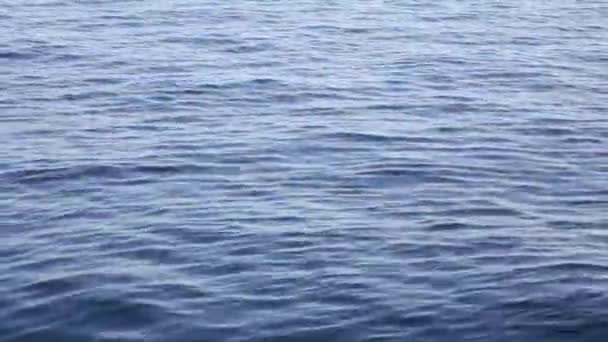 calme mer calme. gros plan.