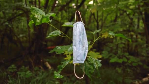 Máscara azul colgando de un árbol — Vídeos de Stock