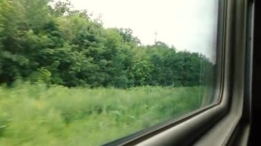 Tren penceresinden manzara, ağaçların arasındaki yol..