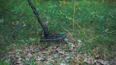 Adam elinde metal dedektörüyle ormanda yürüyor.