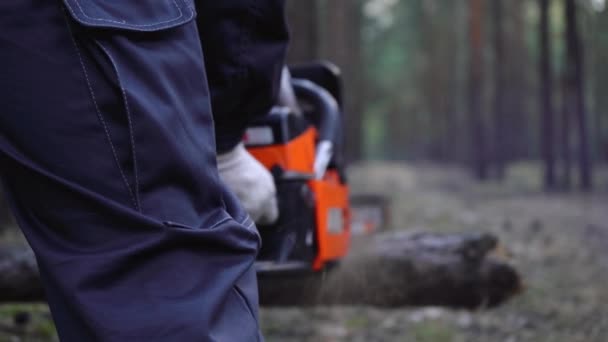 Om ferăstraie bușteni cu un ferăstrău cu lanț în pădure — Videoclip de stoc