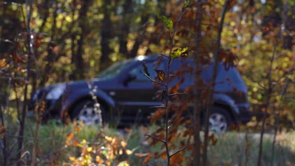 Αυτοκίνητο είναι σταθμευμένο σε ένα φυλλώδες δάσος φθινόπωρο — Αρχείο Βίντεο