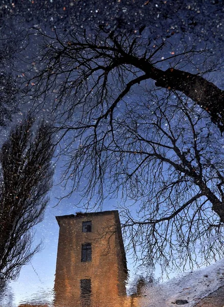 Reflejo de madera seca y la vieja torre en un charco sobre el pavimento como un cielo estrellado —  Fotos de Stock