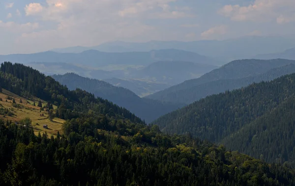Ukrayna Karpat Dağları Doruklarına Mavi Bulutlar Altında Ormanlar Ile Kaplı — Stok fotoğraf