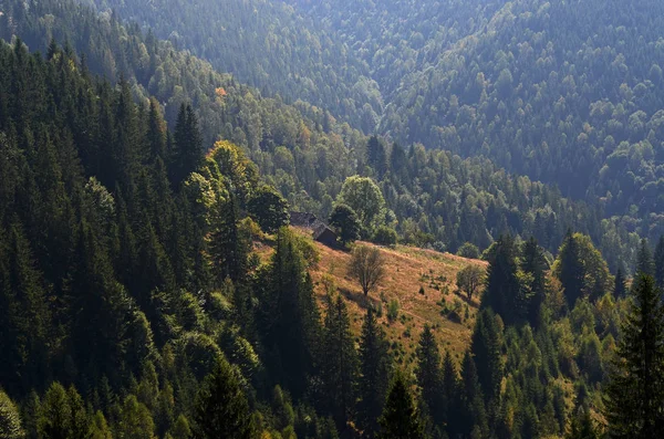ウクライナ カルパティア山脈のピーク 青い雲の下の森林で覆われた山脈 — ストック写真