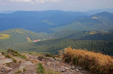 Hoverla Ukrayna Karpat Dağları'nın dağ taş doruklarına güzel görünümünden antik kozalaklı ormanları ile kaplı