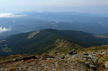 Ukrayna. Karpat Dağları doruklarına. Mavi bulutlar altında ormanlar ile kaplı dağ