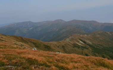 Ukrayna. Karpat Dağları doruklarına. Mavi bulutlar altında ormanlar ile kaplı dağ