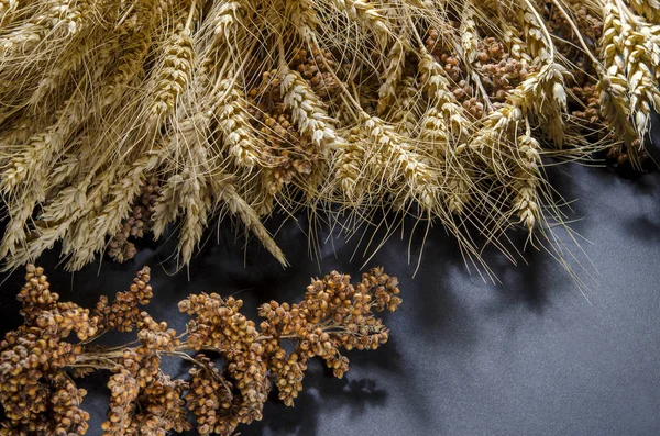 Oren van tarwe, rogge, gierst pshenici geassembleerd in boeket — Stockfoto